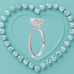 Whisper Hidden Halo Moissanite Ring