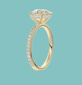 The Secret Halo Moissanite Ring