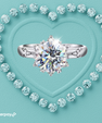 The Nova Halo Star Ring