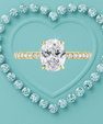 Amelie Oval Hidden Halo Moissanite Ring