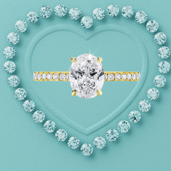 Amelie Oval Hidden Halo Moissanite Ring