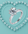The Nova Halo Star Ring