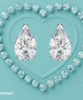 Moissanite pear shaped stud earrings in elegant silver setting