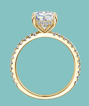 Whisper Hidden Halo Moissanite Ring