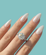 The Nova Halo Star Ring