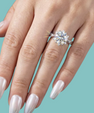 The Nova Halo Star Ring