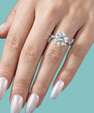 The Nova Halo Star Ring