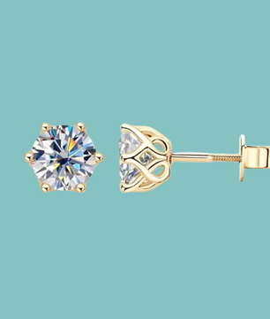 Solid Gold Screwback Earrings