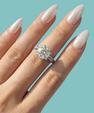The Nova Halo Star Ring