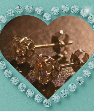 Solid Gold Screwback Earrings
